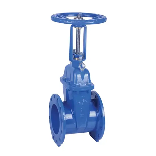 BS 5163 Flanged Resilient OS & Y Gate Valve