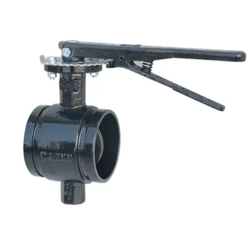 Grooved butterfly valve