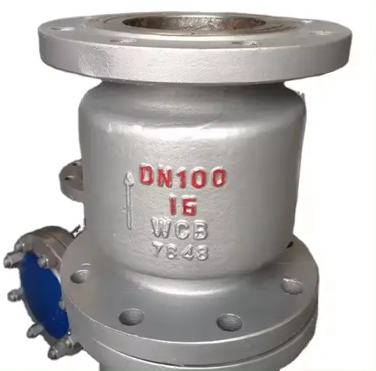Check Valve