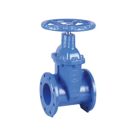 Nrs Gate Valve With Flexible Flange