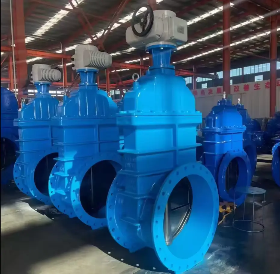 Nrs Gate Valve With Flexible Flange
